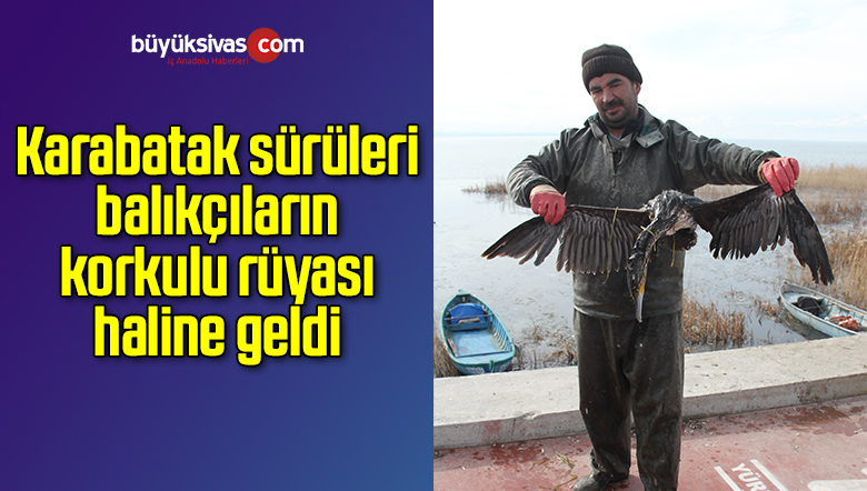 Karabatak sürüleri balıkçıların korkulu rüyası haline geldi