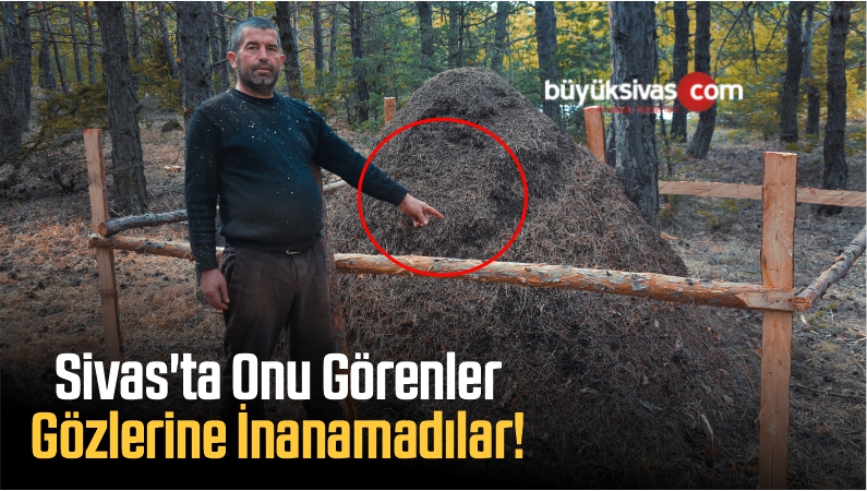 Sivas'ta Onu Görenler