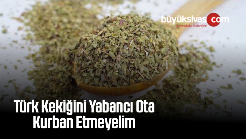 Türk Kekiğini Yabancı Ota Kurban Etmeyelim
