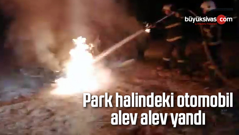 Park halindeki otomobil alev alev yandı