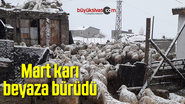 Mart karı beyaza bürüdü
