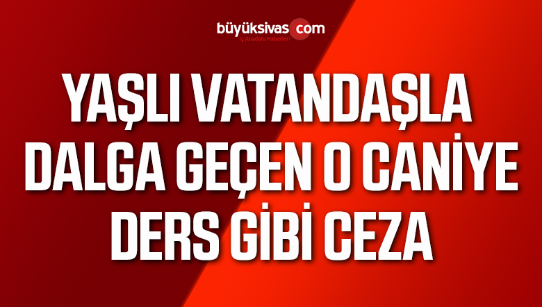 Yaşlı vatandaşla dalga geçmişti! Ders gibi ceza