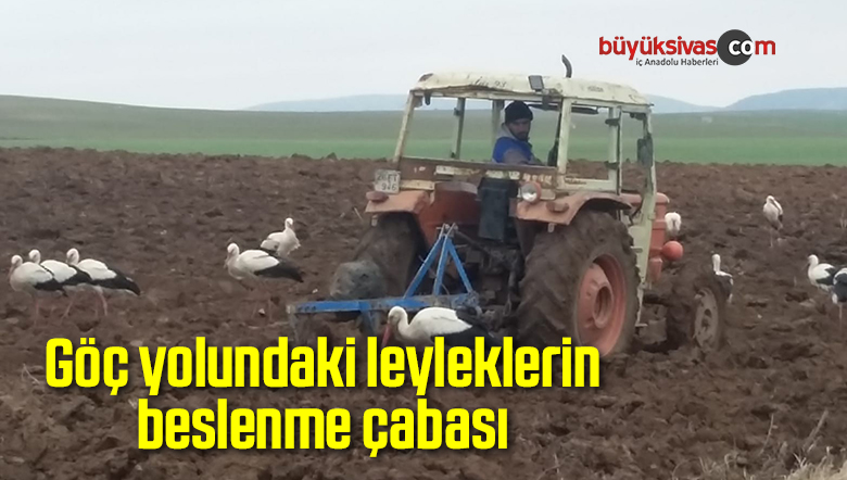 beslenme çabası
