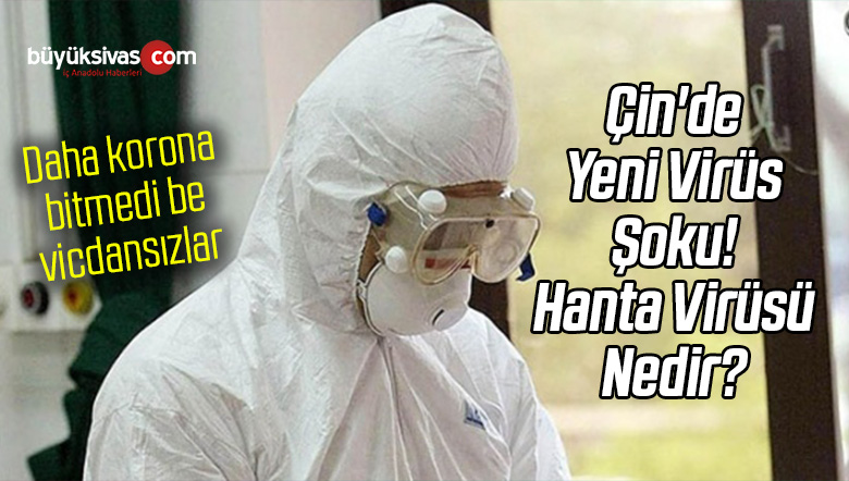 Koronavirüs Ardından Çin’de Yeni Virüs Şoku! Hanta Virüsü Nedir?