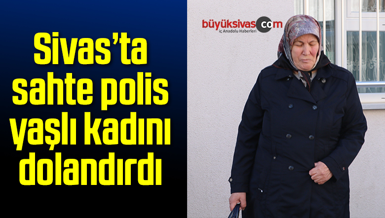 polis olarak