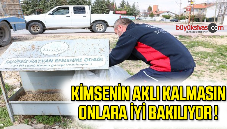 Başkan Kavuş: “Evde kalan hayvanseverlerin aklı sokak hayvanlarında kalmasın”