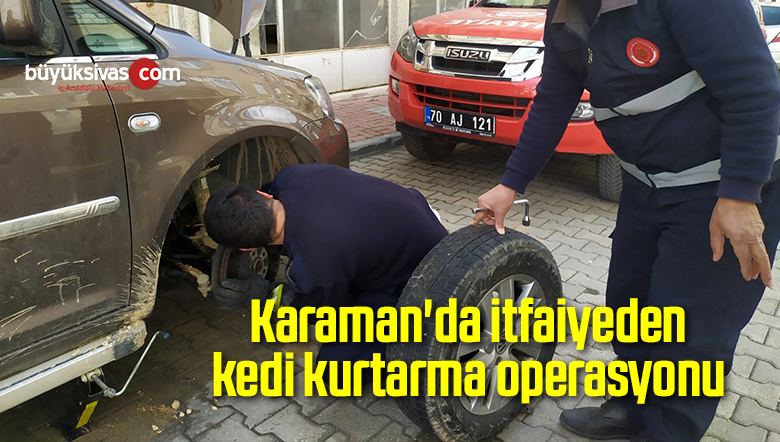 Karaman’da itfaiyeden kedi kurtarma operasyonu