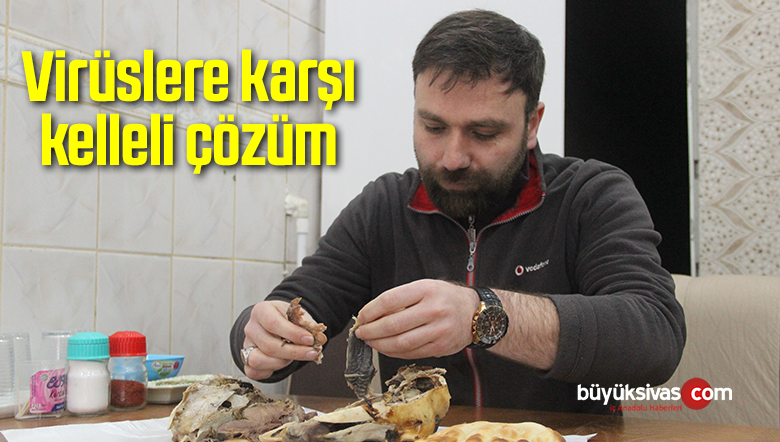 Virüslere karşı kelleli çözüm