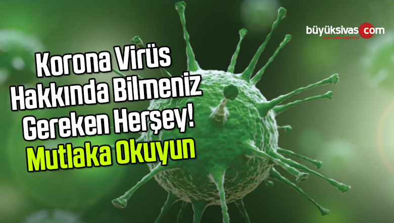 Korona Virüs Hakkında En Ayrıntılı Bilgilendirme! Belirtileri? Ne Yapmalı?