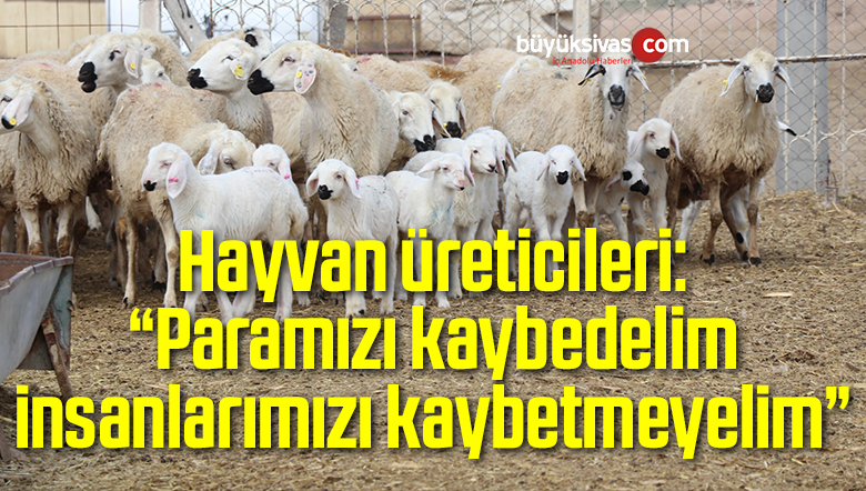 Hayvan üreticileri: “Paramızı kaybedelim, insanlarımızı kaybetmeyelim”