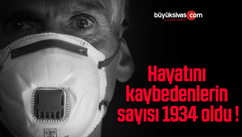 sayısı