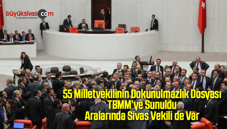 dokunulmazlık dosyası