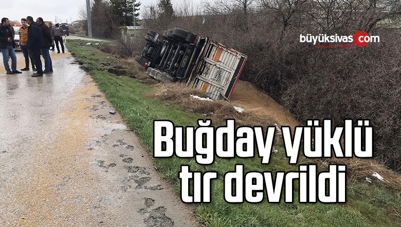 Buğday yüklü tır devrildi