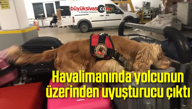 Havalimanında yolcunun üzerinden uyuşturucu çıktı