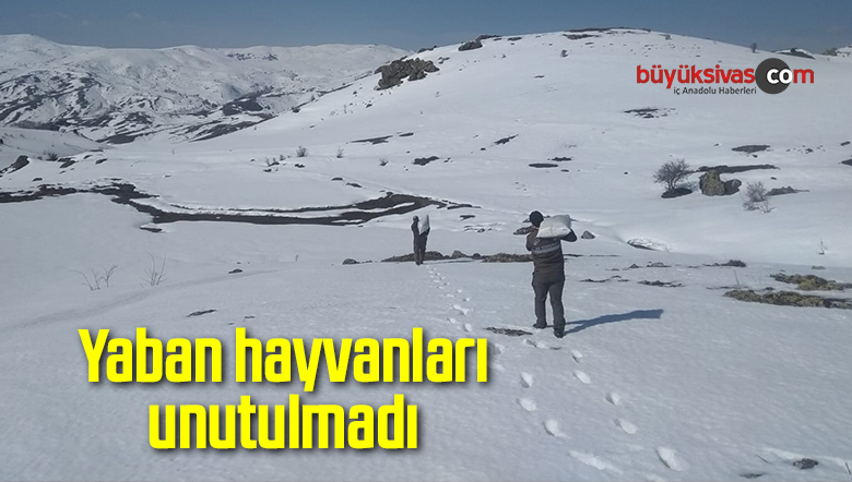Yaban hayvanları unutulmadı