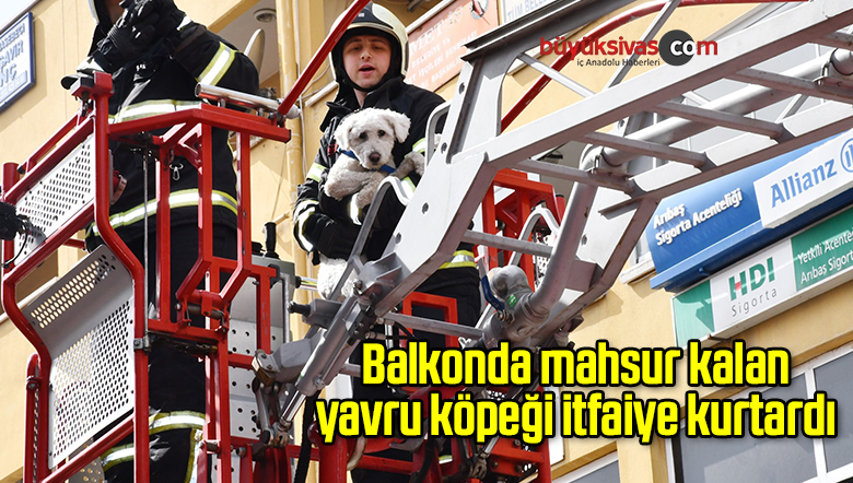 Balkonda mahsur kalan yavru köpeği itfaiye kurtardı