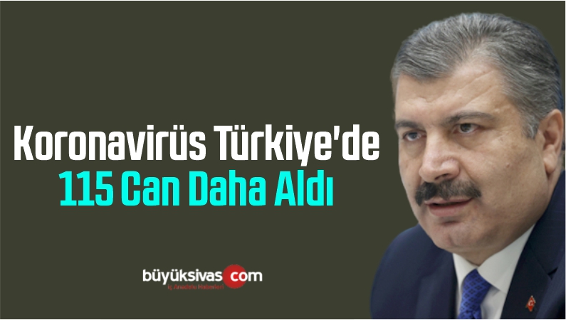 Koronavirüs Türkiye'de