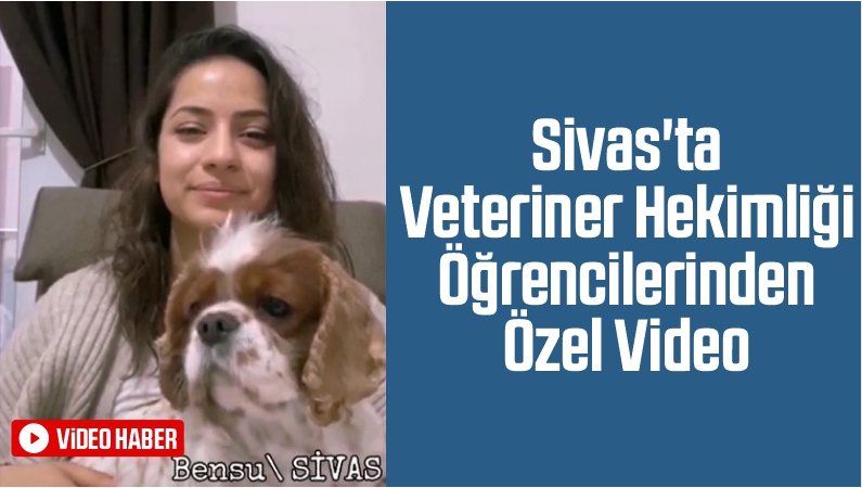 Sivas'ta Veteriner Hekimliği Öğrencilerinden Özel Video