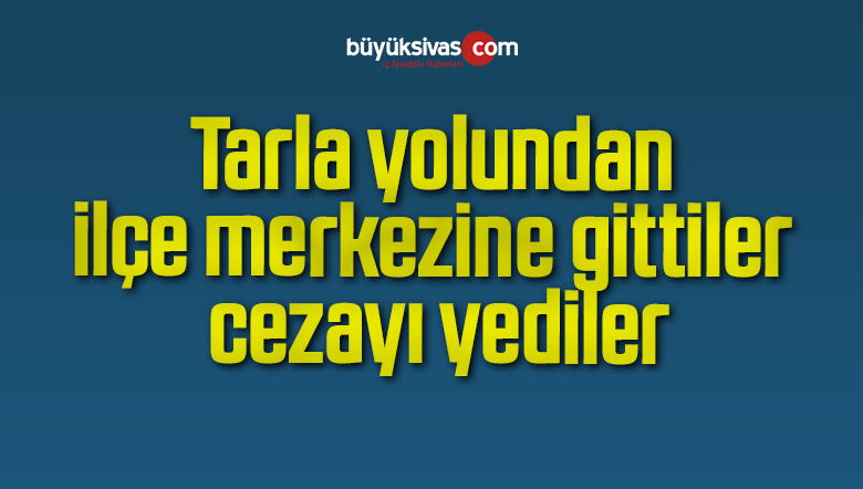 tarla yolunu