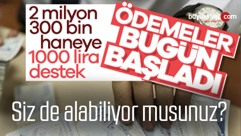 destek ödemeleri