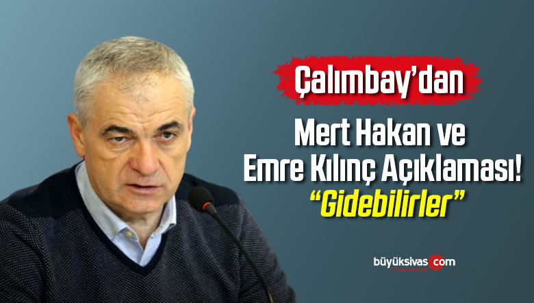 gidebilirler