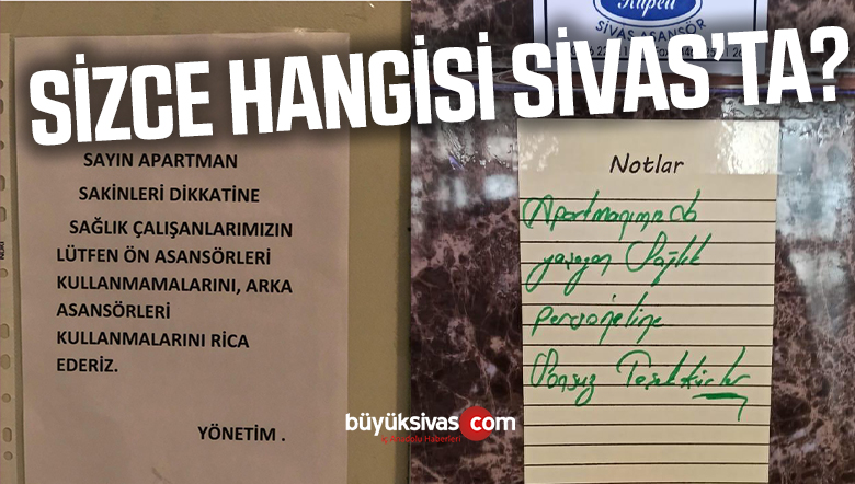 hangisi