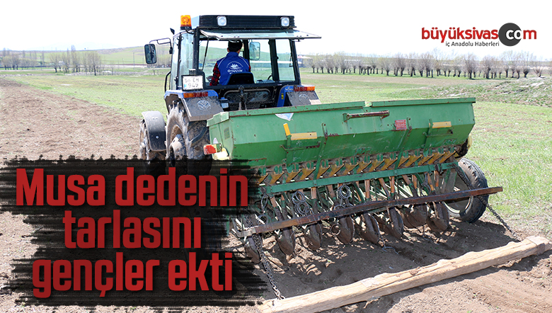 Musa dedenin tarlasını gençler ekti