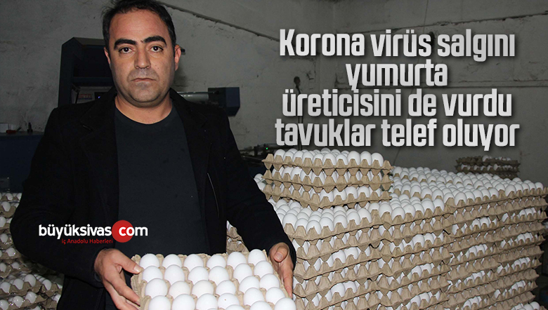 Yumurta fiyatlarında