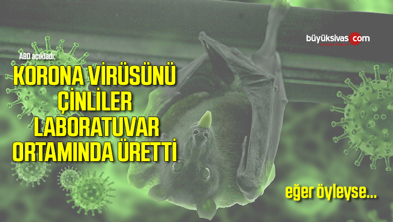 çinli