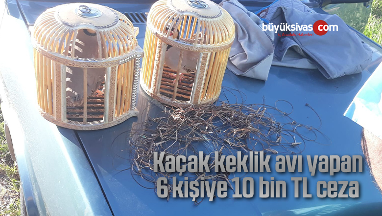 Kaçak keklik avı yapan 6 kişiye 10 bin TL ceza