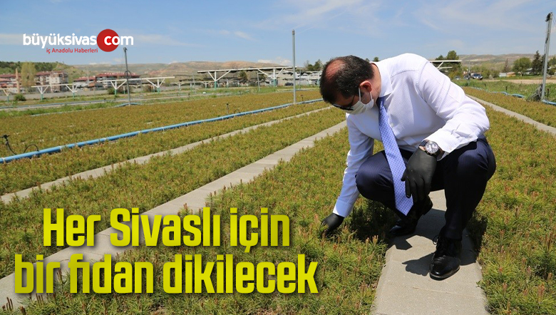 Her Sivaslı için bir fidan dikilecek
