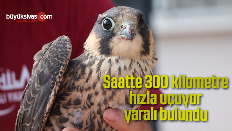 300 kilometre
