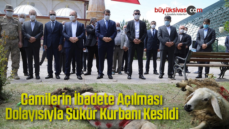 Camilerin İbadete Açılması Dolayısıyla Şükür Kurbanı Kesildi
