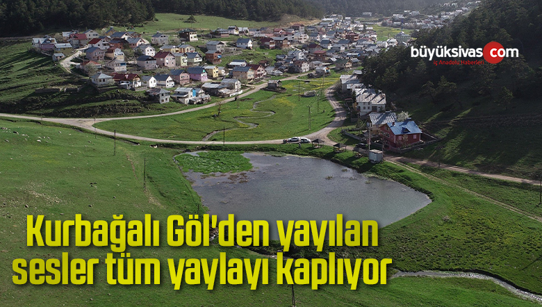 Kurbağalı Göl’den yayılan sesler tüm yaylayı kaplıyor