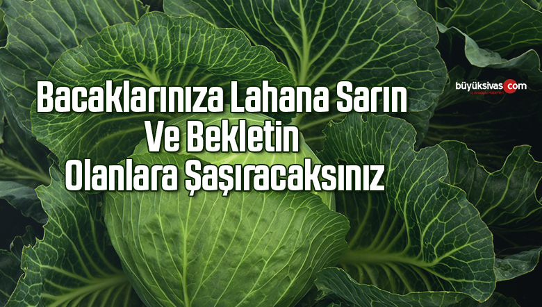 Bacaklarınıza Lahana Sarın Ve Bekletin Olanlara Şaşıracaksınız