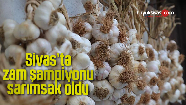 TR72 bölgesinin zam şampiyonu sarımsak