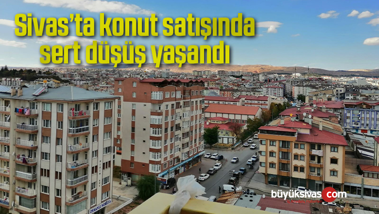 konut sayılarına