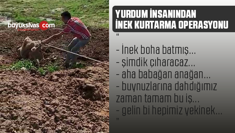 Sivaslı bu durumu böyle tarif etti “inek boha batmış”