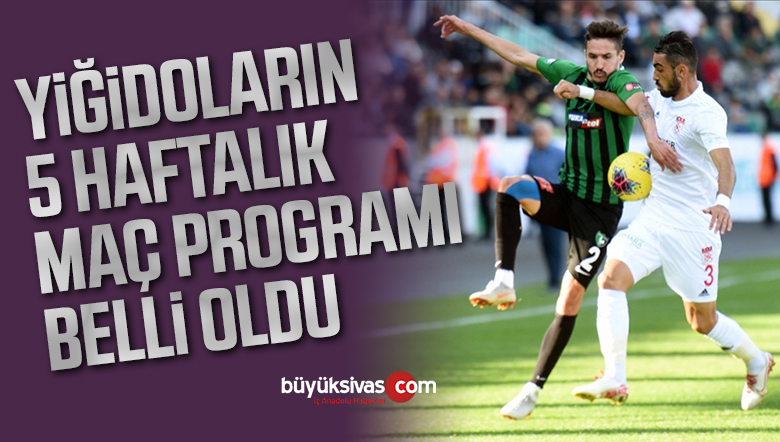 Denizlispor ile