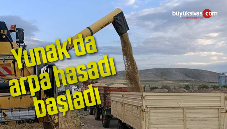 Yunak’da arpa hasadı başladı