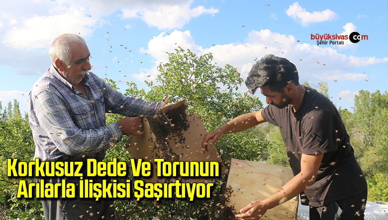 arı