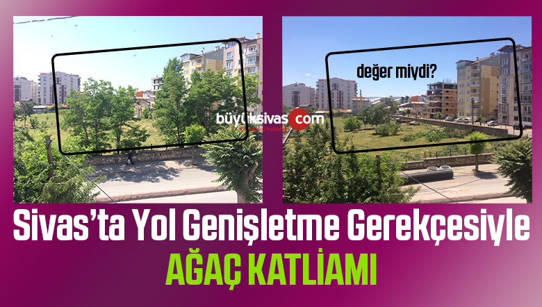 ağaç katliamı