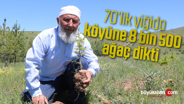 ağaç dikmeyi