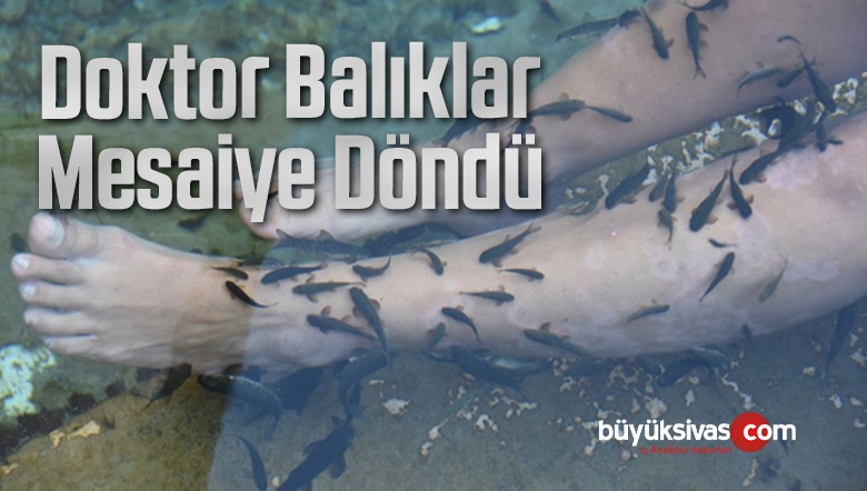 Doktor Balıklar Mesaiye Döndü