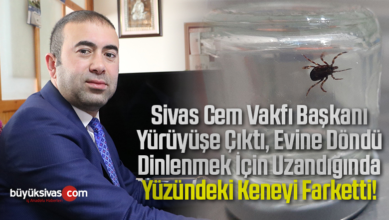 Üzerinde gezinirken