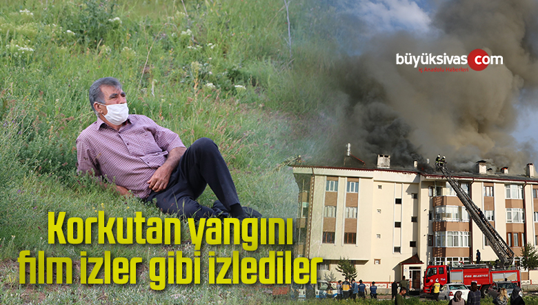 korona virüsü
