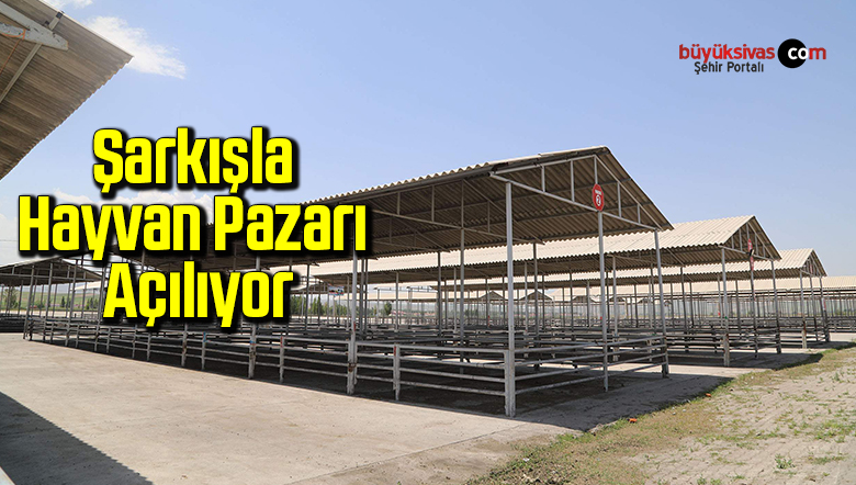 hayvan