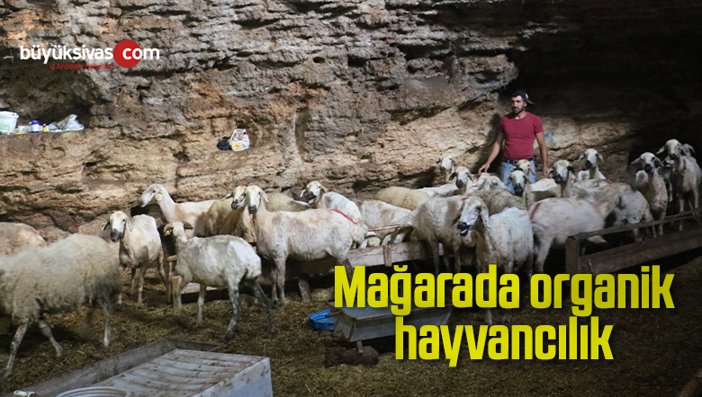 mağarada