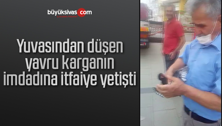 Yuvasından düşen yavru karganın imdadına itfaiye yetişti