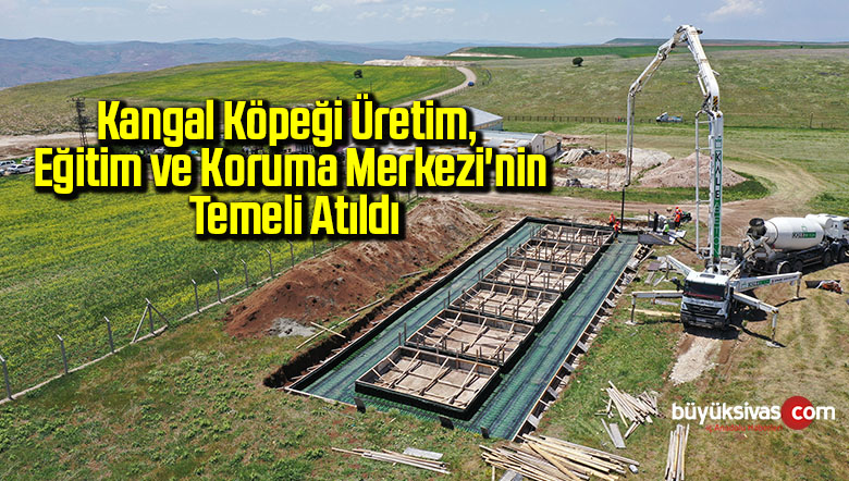 Kangal Köpeği Üretim, Eğitim ve Koruma Merkezi’nin Temeli Atıldı